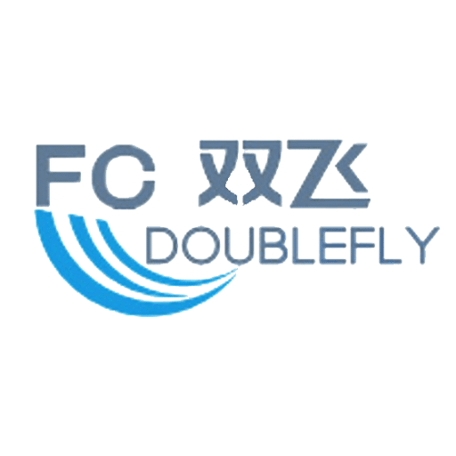 Double Fly Consulting Serice Company Limited
